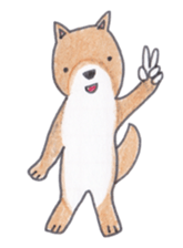 Choco-chan of the Shiba Inu sticker #3731790