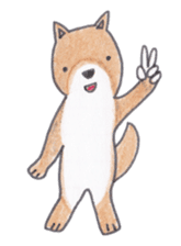 Choco-chan of the Shiba Inu sticker #3731790