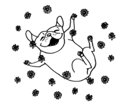 French bull POTATO sticker #3732129