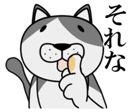 Stray cat "Nyan Tato" sticker #3733995