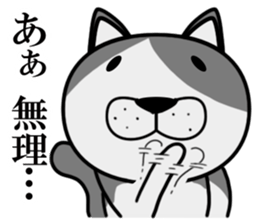 Stray cat "Nyan Tato" sticker #3734009