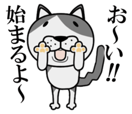 Stray cat "Nyan Tato" sticker #3734014