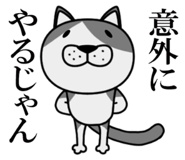 Stray cat "Nyan Tato" sticker #3734019