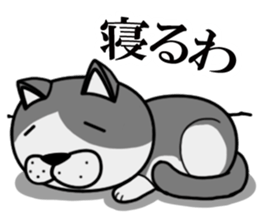 Stray cat "Nyan Tato" sticker #3734021