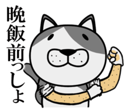 Stray cat "Nyan Tato" sticker #3734022