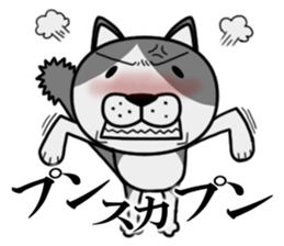 Stray cat "Nyan Tato" sticker #3734023