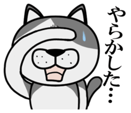 Stray cat "Nyan Tato" sticker #3734028