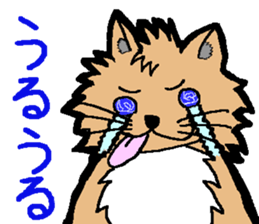 dog of belo sticker sticker #3735388