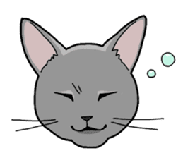 Gray Cat ! sticker #3735812