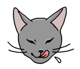 Gray Cat ! sticker #3735815