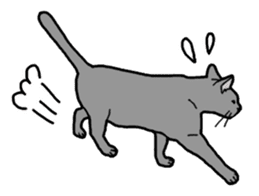 Gray Cat ! sticker #3735816