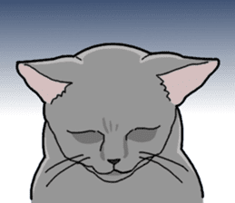 Gray Cat ! sticker #3735817