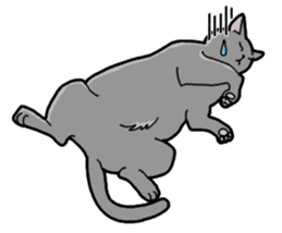 Gray Cat ! sticker #3735818