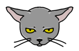 Gray Cat ! sticker #3735819