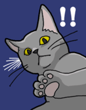 Gray Cat ! sticker #3735824
