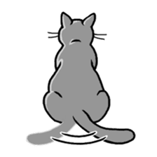 Gray Cat ! sticker #3735825