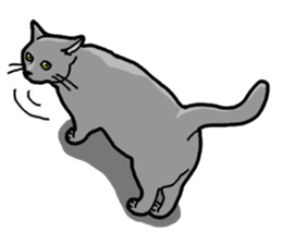 Gray Cat ! sticker #3735826