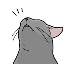 Gray Cat ! sticker #3735843