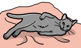 Gray Cat ! sticker #3735845