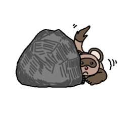 Super cute raccoon sticker sticker #3736397