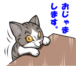 japan cat myu sticker #3737092