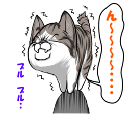 japan cat myu sticker #3737119