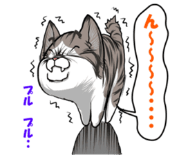 japan cat myu sticker #3737119