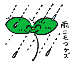 Natural favor sticker #3738011