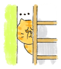 Muginosuke the exotic Shorthair sticker #3741210