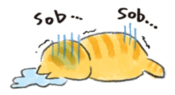 Muginosuke the exotic Shorthair sticker #3741214