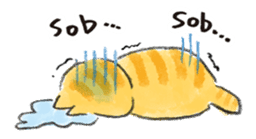 Muginosuke the exotic Shorthair sticker #3741214