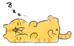 Muginosuke the exotic Shorthair sticker #3741215