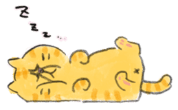 Muginosuke the exotic Shorthair sticker #3741215