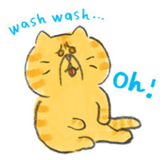 Muginosuke the exotic Shorthair sticker #3741219