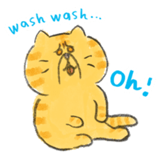 Muginosuke the exotic Shorthair sticker #3741219