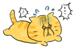 Muginosuke the exotic Shorthair sticker #3741222