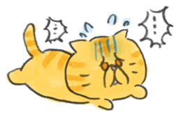 Muginosuke the exotic Shorthair sticker #3741222