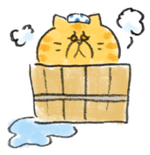 Muginosuke the exotic Shorthair sticker #3741232