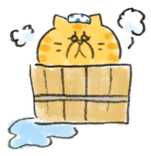 Muginosuke the exotic Shorthair sticker #3741232