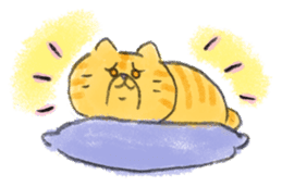 Muginosuke the exotic Shorthair sticker #3741234