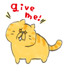 Muginosuke the exotic Shorthair sticker #3741236