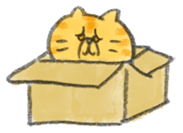 Muginosuke the exotic Shorthair sticker #3741246