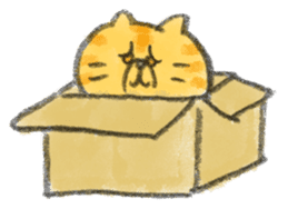 Muginosuke the exotic Shorthair sticker #3741246