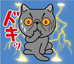 Cat of Sara & Sera and Friends sticker #3742331