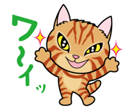 Cat of Sara & Sera and Friends sticker #3742332