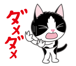 Cat of Sara & Sera and Friends sticker #3742342