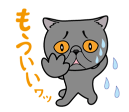 Cat of Sara & Sera and Friends sticker #3742347