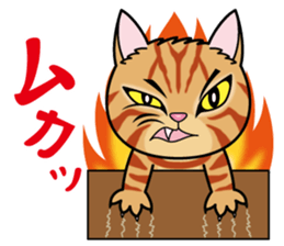 Cat of Sara & Sera and Friends sticker #3742348
