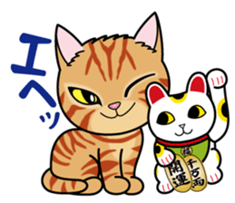 Cat of Sara & Sera and Friends sticker #3742364