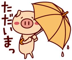 rainy pig sticker #3743947